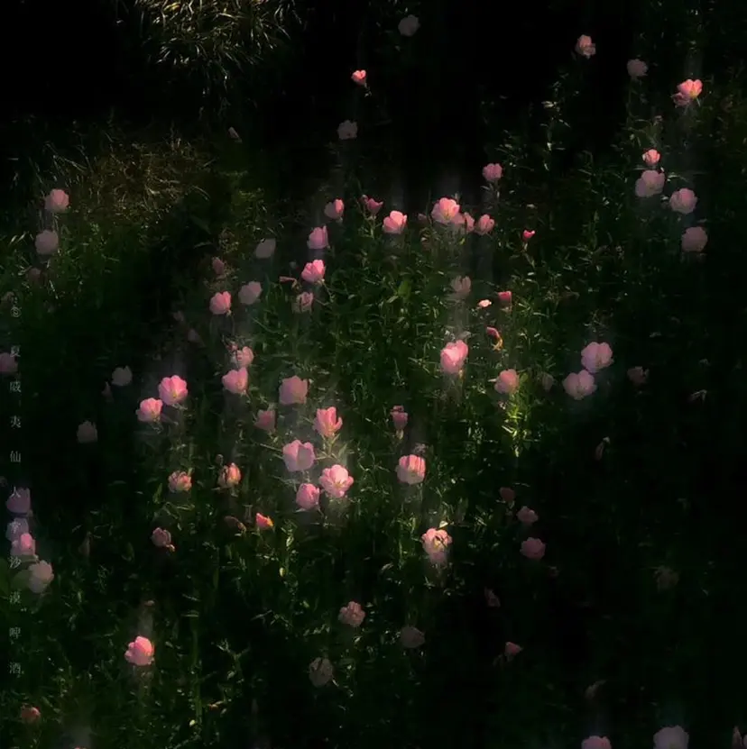 ☆大宮 ななか☆の掲載