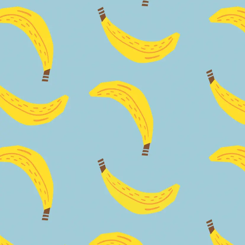 佐々木 恵の掲載