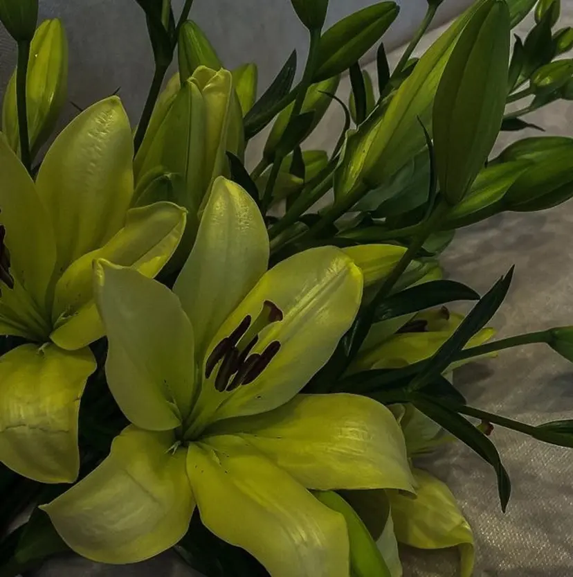 eclat .Kanaの掲載