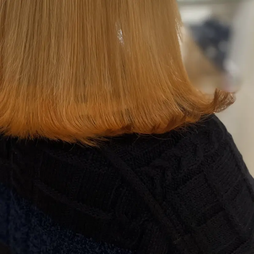 あらい しほの掲載