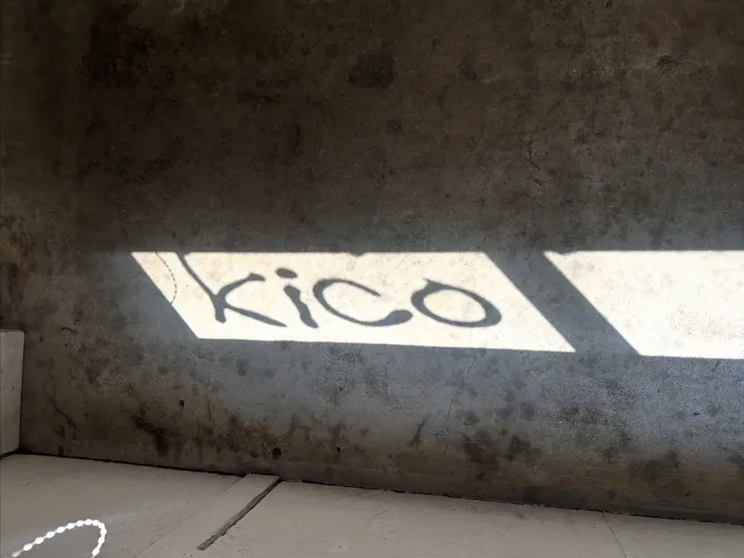 yamasaki momoaの掲載