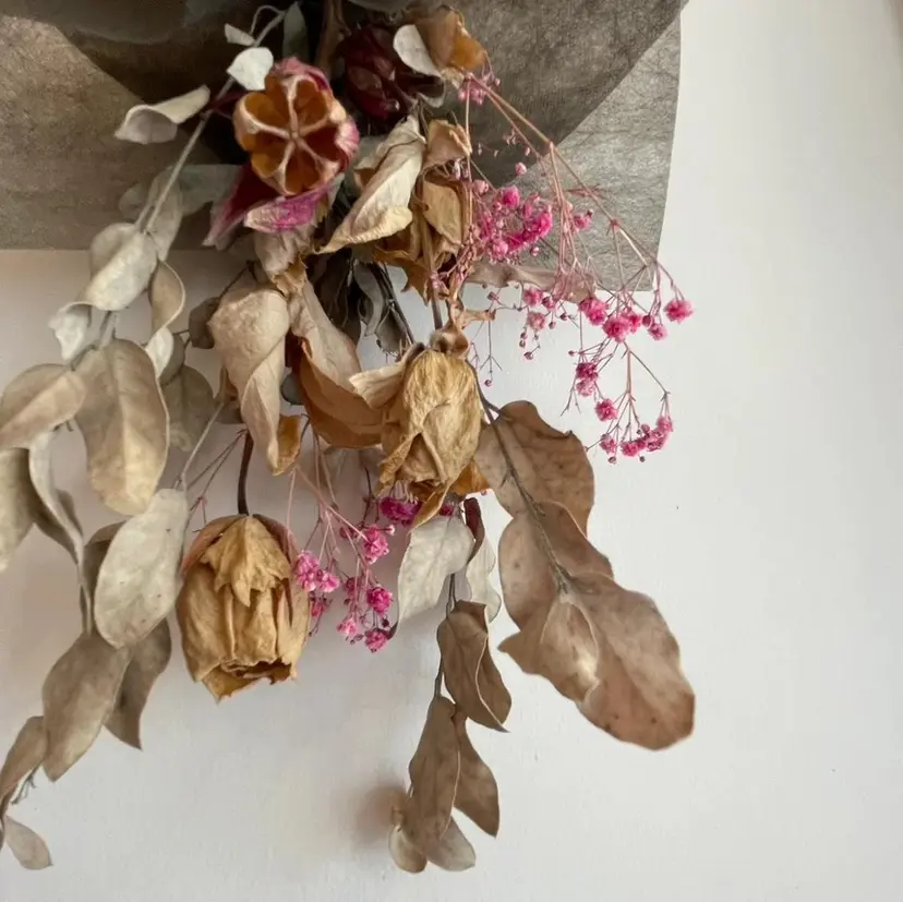 TJ天気予報 佐藤優月の掲載