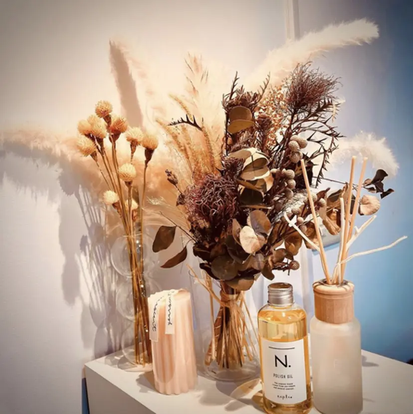 中村 あやかの掲載