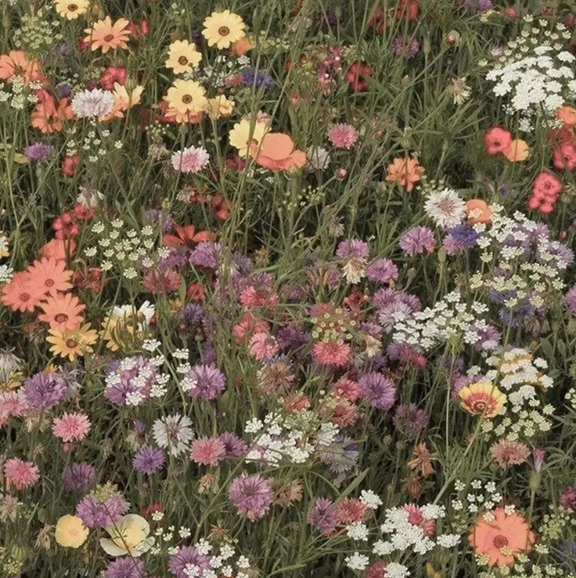 大久保 佳那の掲載