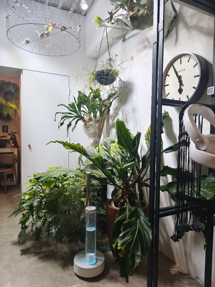 井口 葉月樹の掲載