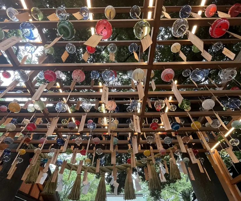 椎名 紗愛の掲載