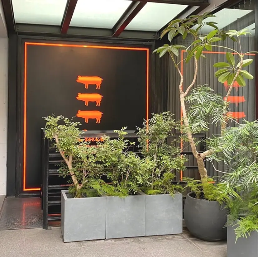 luxe表参道 Aoiの掲載