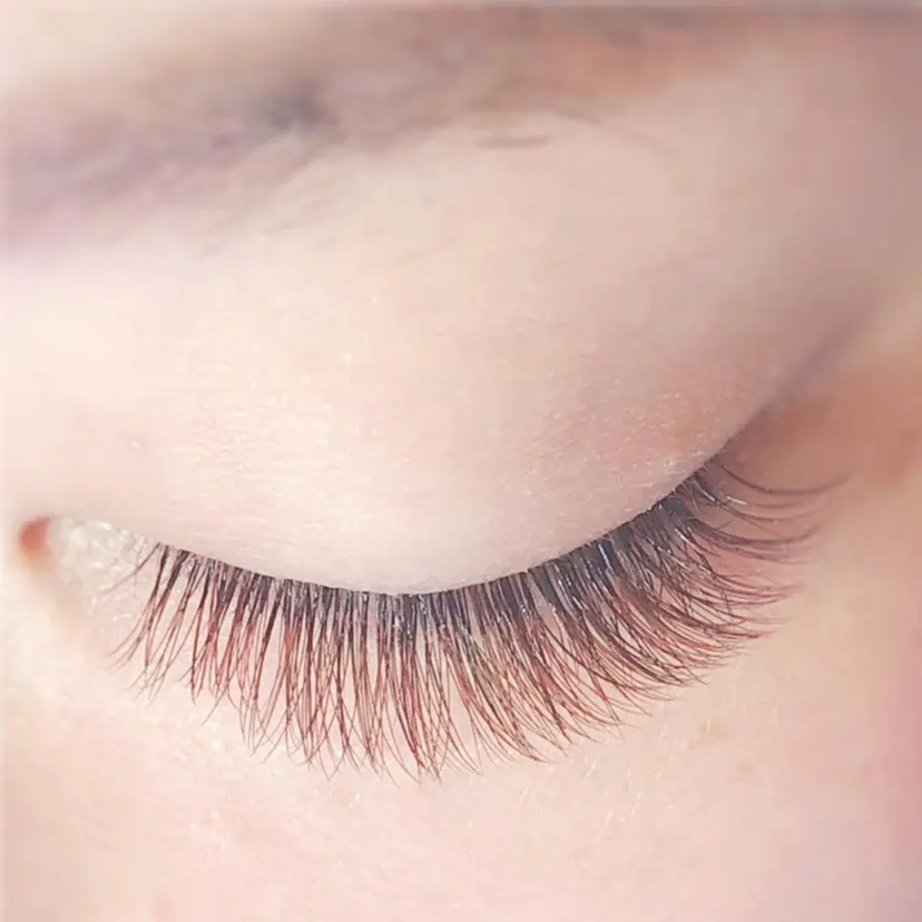 Alviseye studio清水千織の掲載