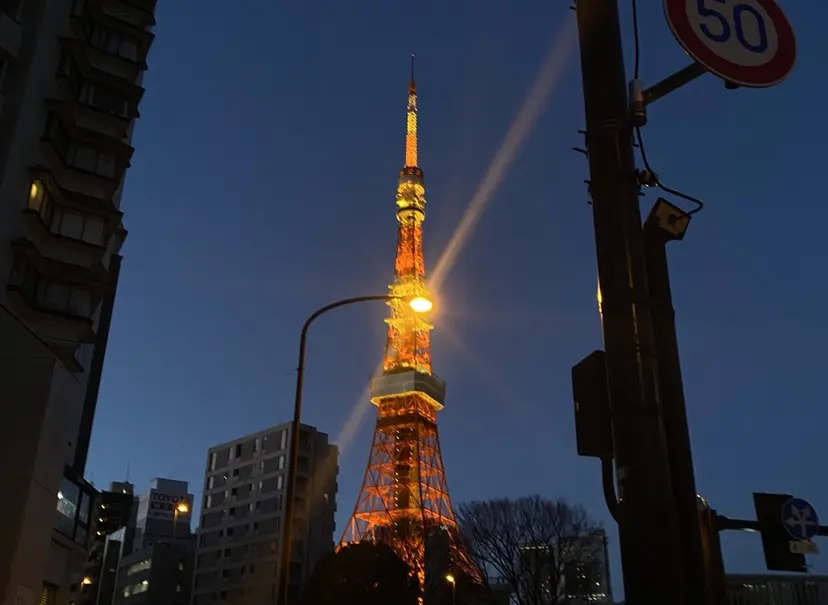 MIYUU OTANIの掲載