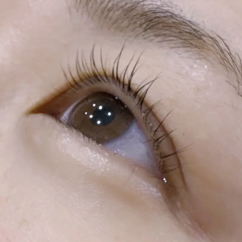 めぐろ ひなの掲載