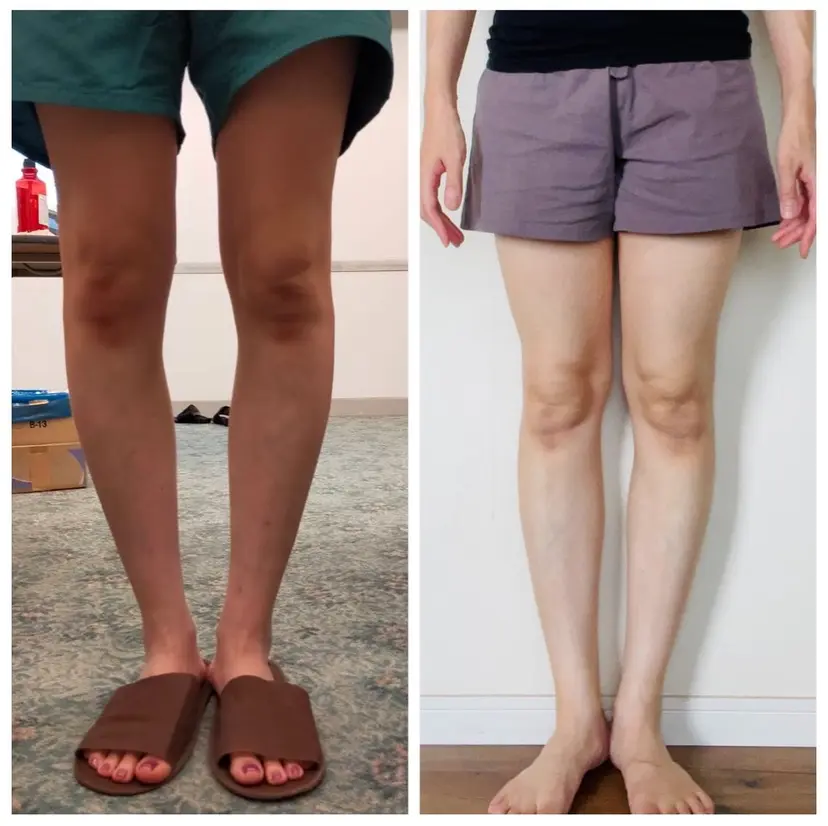 めぐらせの 森の掲載