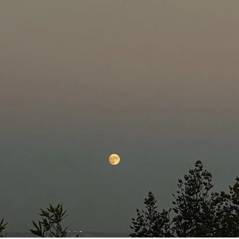 mahae 大久保の掲載