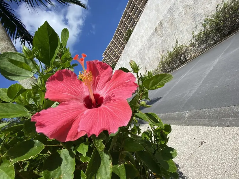 💛IZUMI 💛の掲載