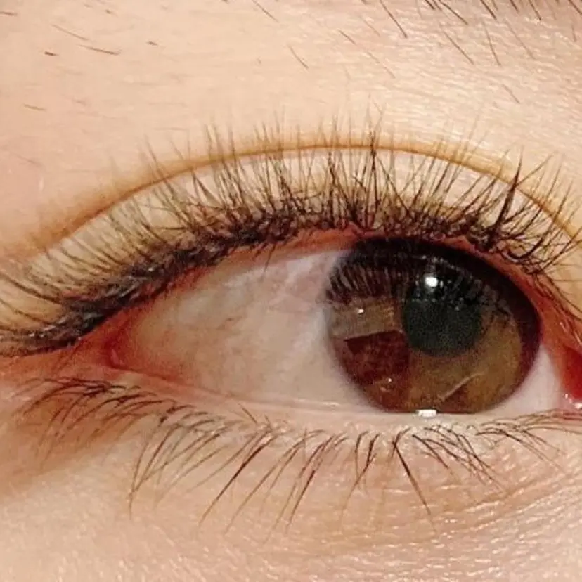 TWICE まつげ館の掲載