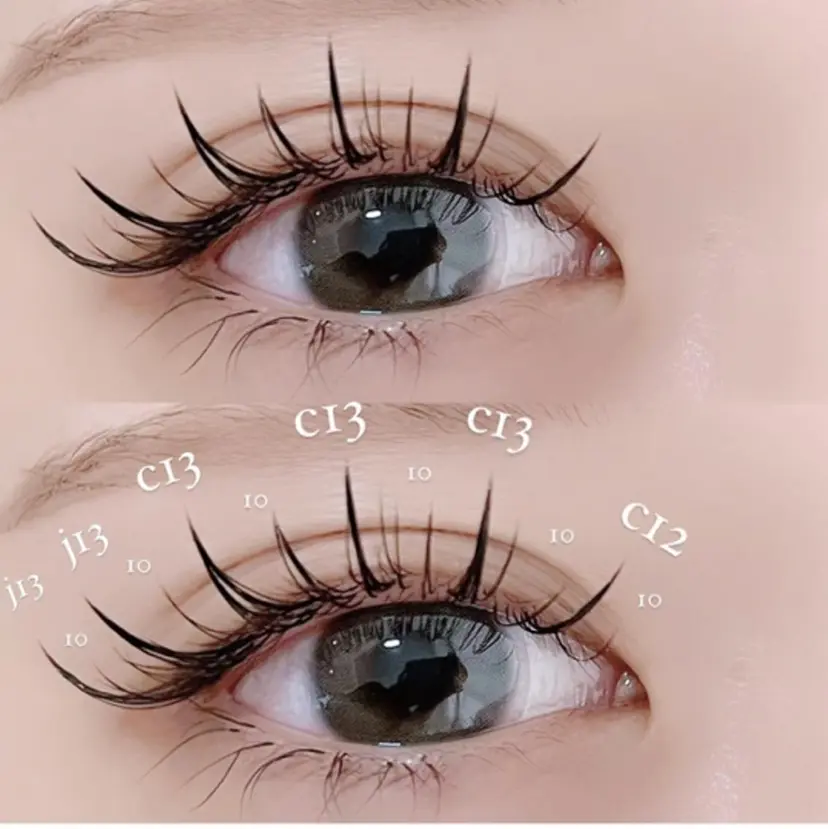 カメリア ワダの掲載