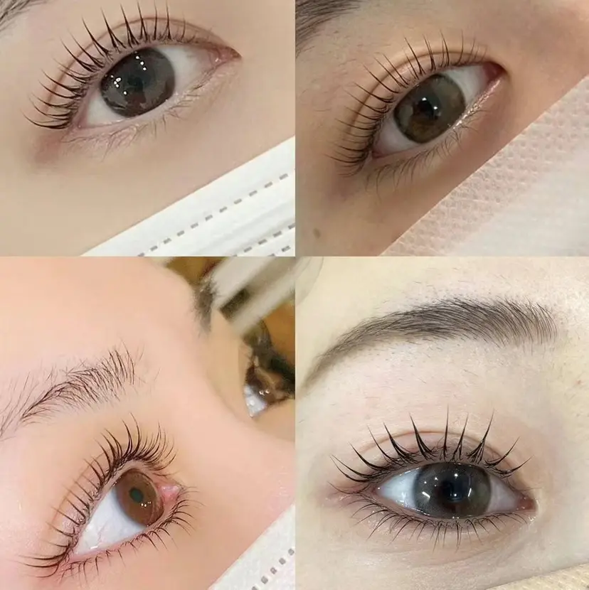 山本 ユキの掲載