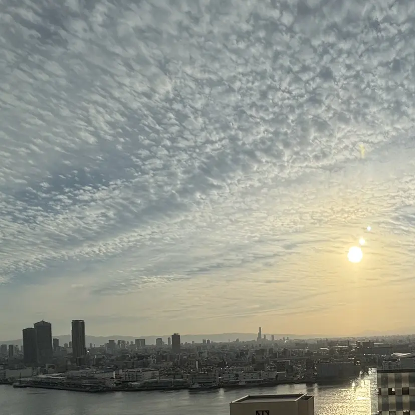 三嶋 陽友の掲載