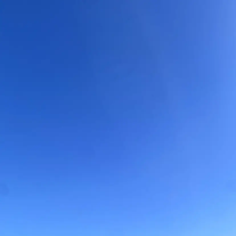 ㅤ ㅤ ㅤ ㅤ あゆみの掲載