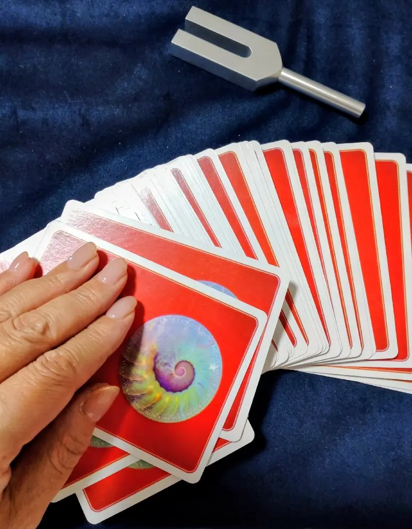 涼風 六花の掲載