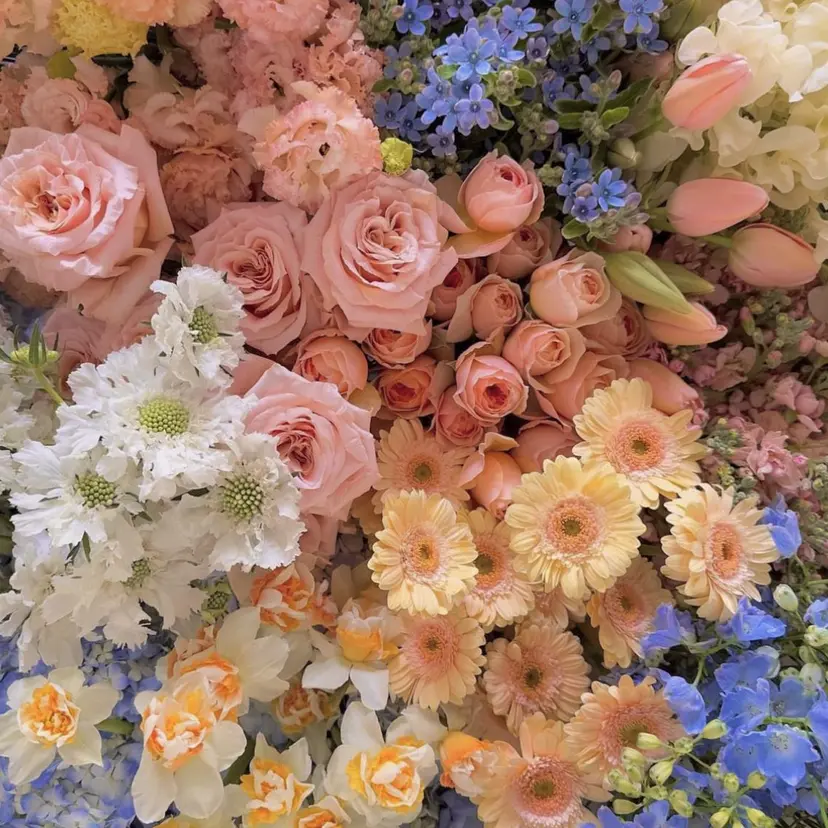 坂本 なつきの掲載