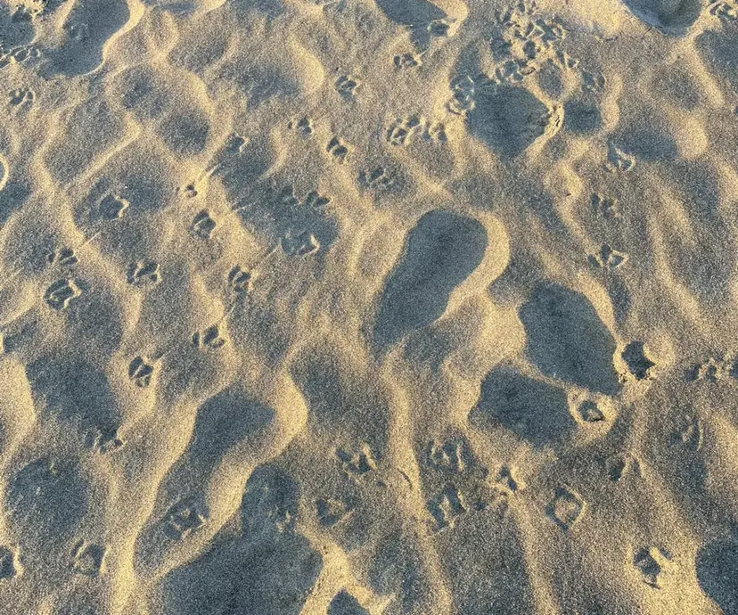 木村 春香の掲載