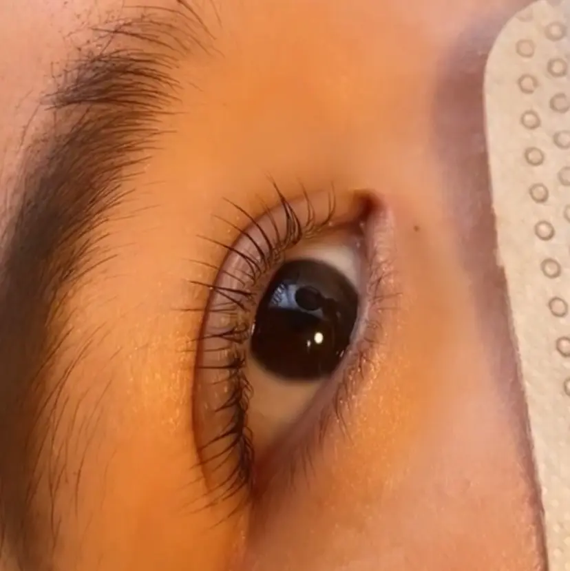 坂口 梨乃の掲載