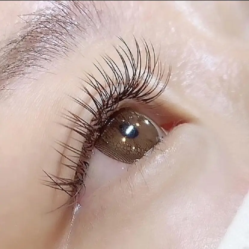 クワトロ Bの掲載