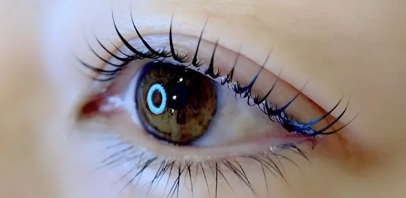 shimizu mikaの掲載