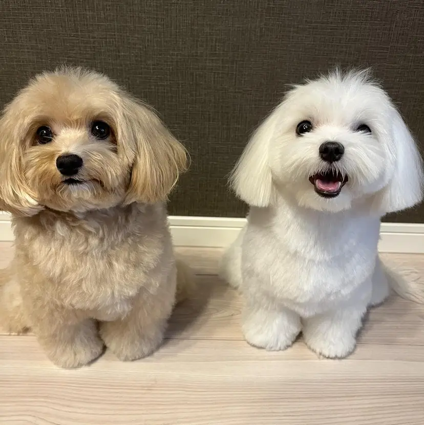 Amua.ハーブ 新宿御苑駅前の掲載