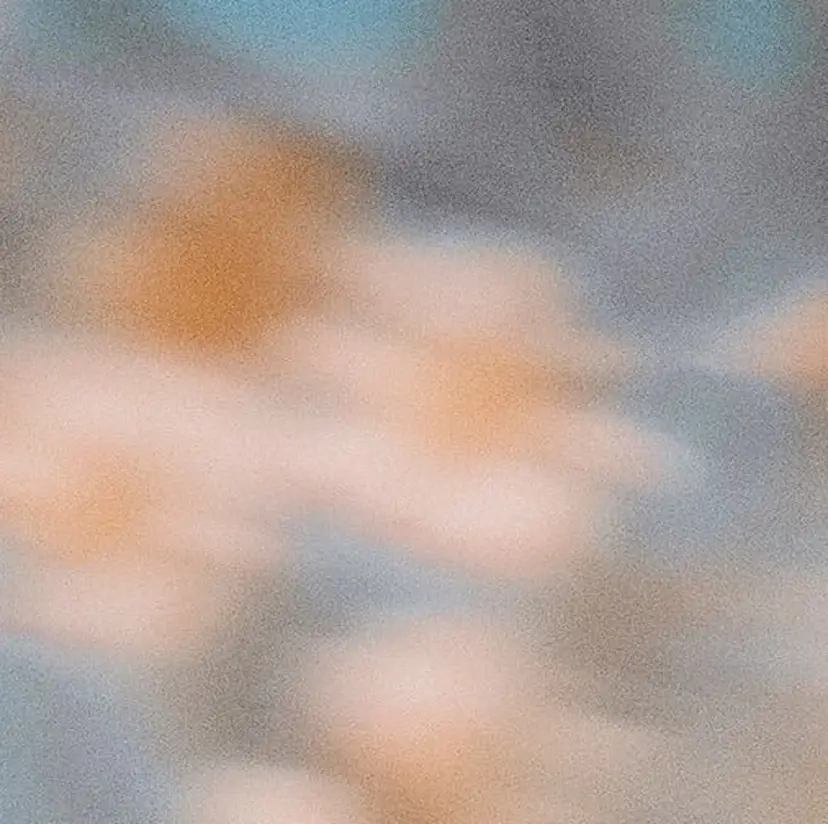 the path shogo🌻の掲載