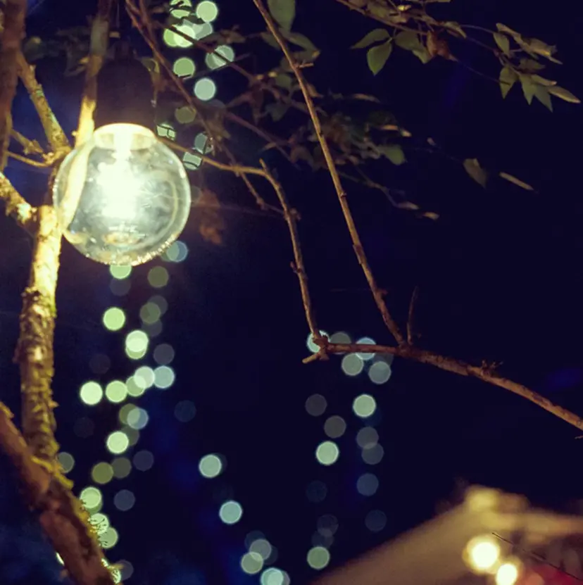 Bianca立川店 川村の掲載