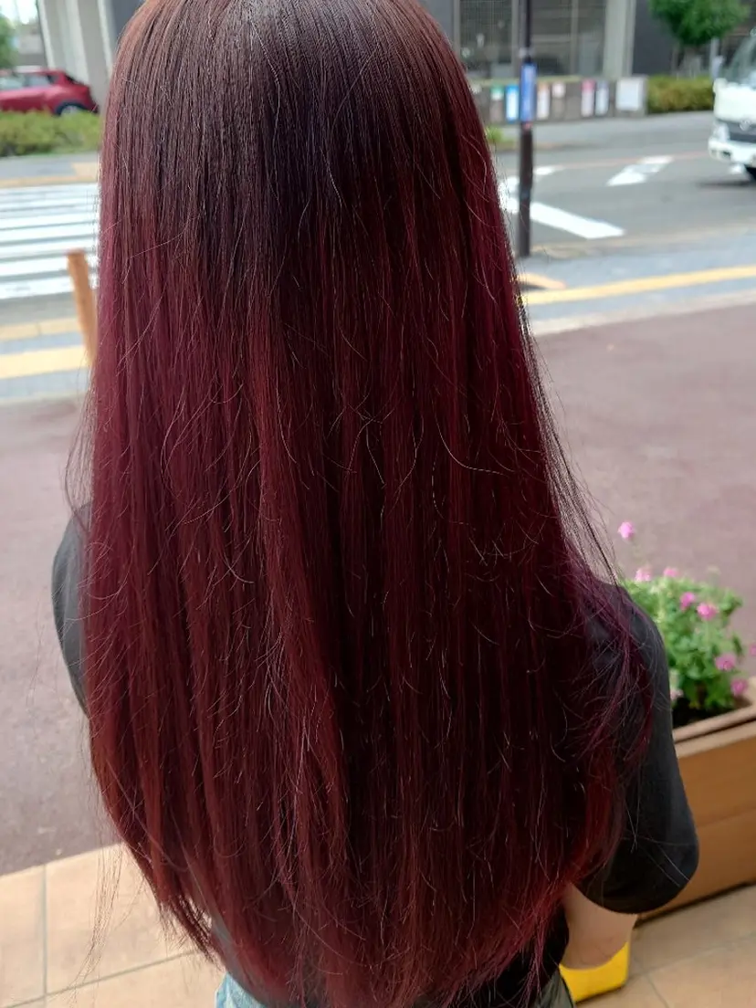 佐々木 勇希の掲載