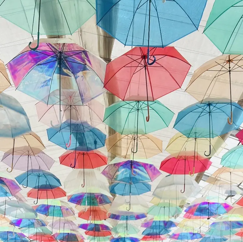 浜崎 桃圭の掲載