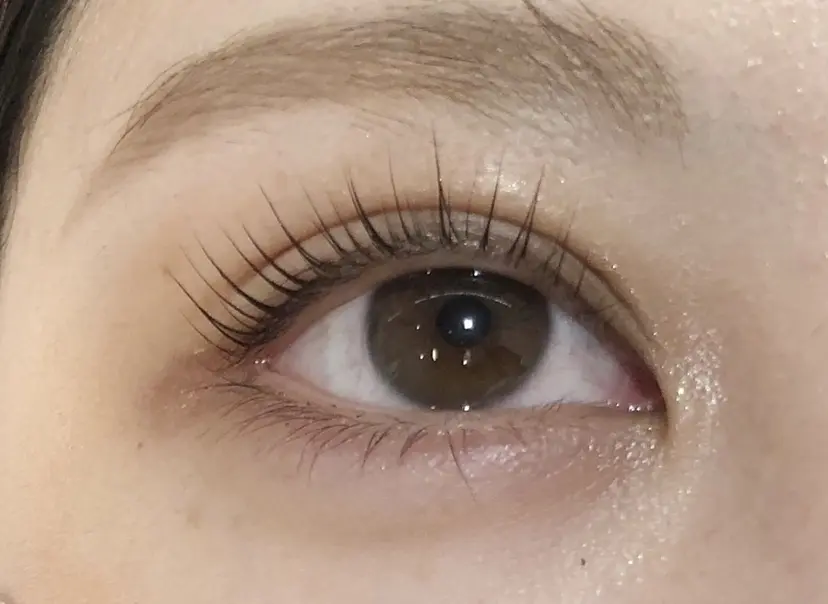 academy salonEの掲載