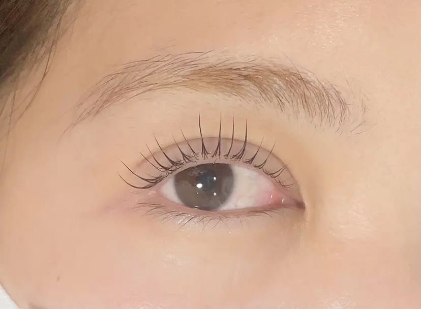 MyFairLady Mahoの掲載