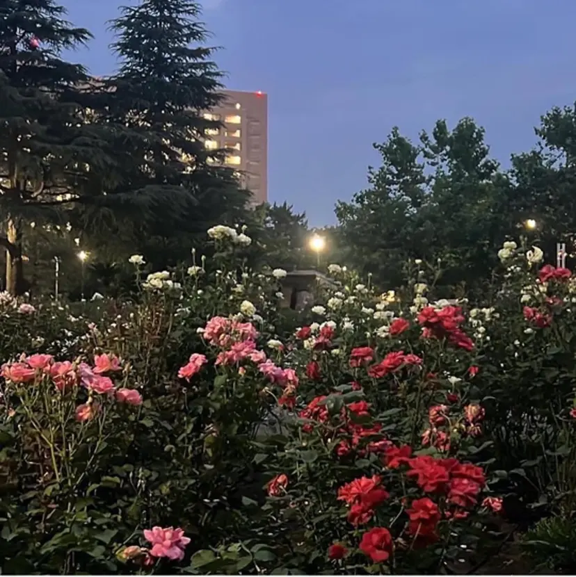 Eye ELSA lash栄店　溝口の掲載