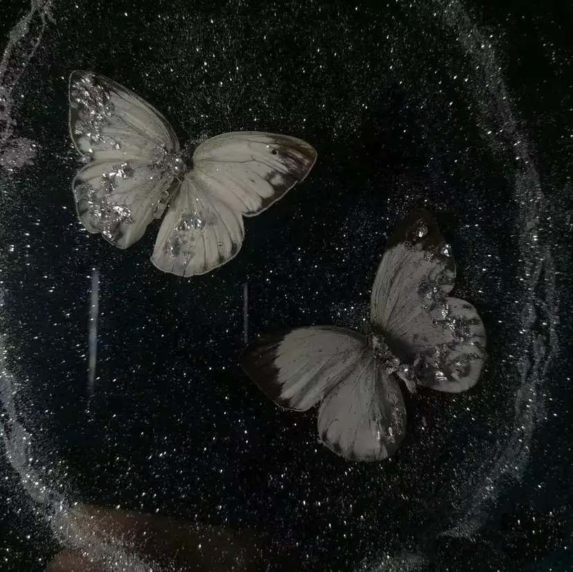 米澤 嘉月の掲載