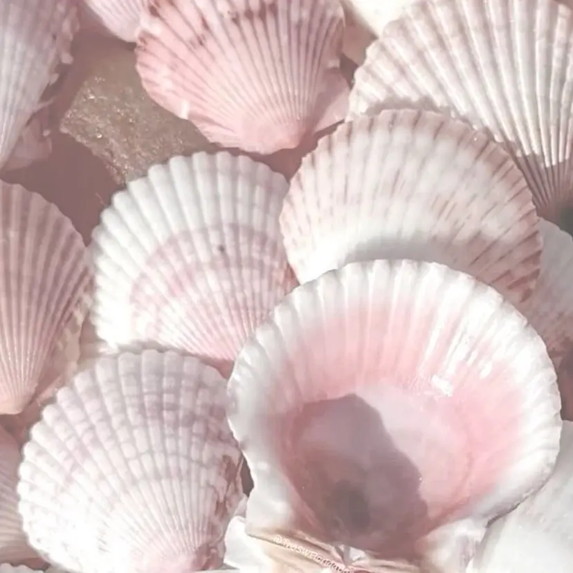 Lottynail 🫧Yuunaの掲載