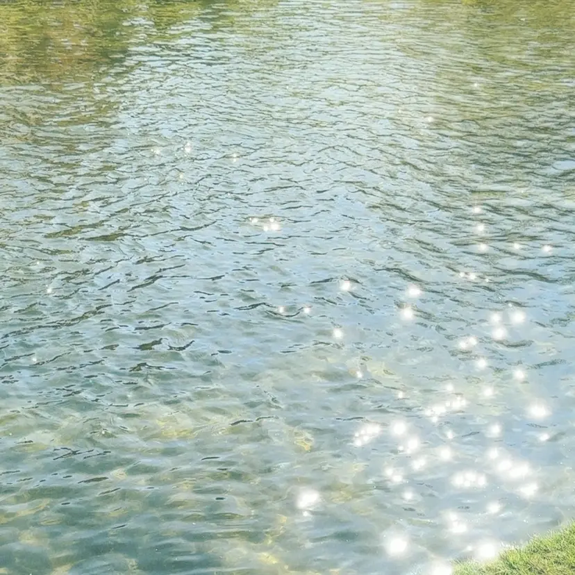 松尾 和佳奈の掲載