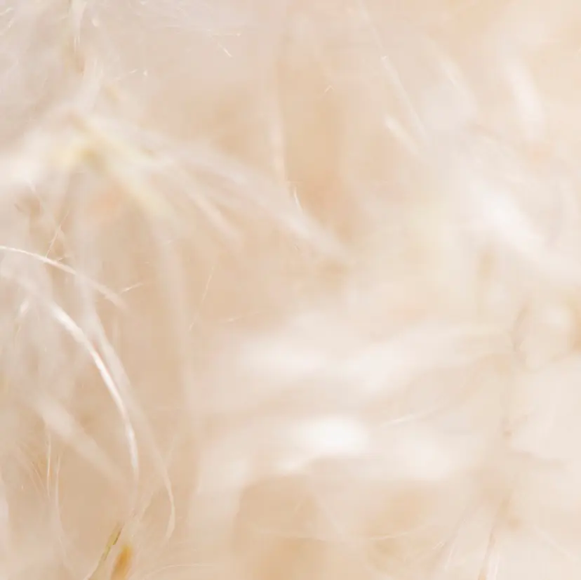 韓国風まつげ 🍒Rye🍒の掲載