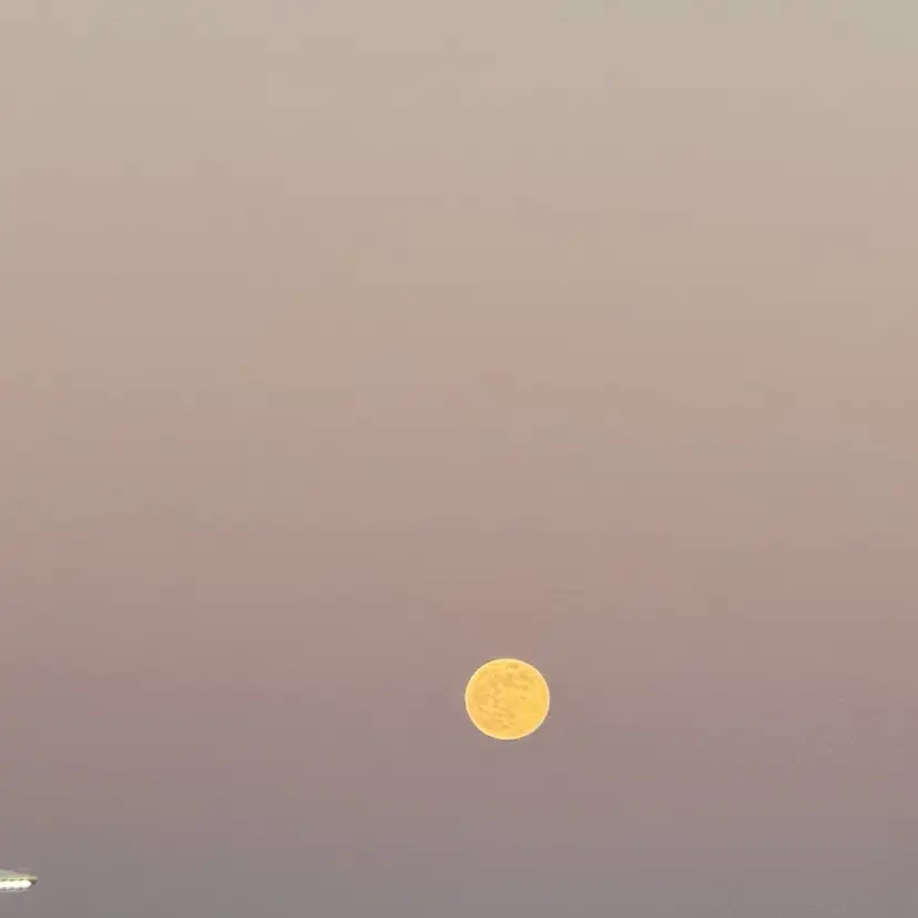 メンズパーマ✨️/ 縮毛カラー🫧あきはの掲載