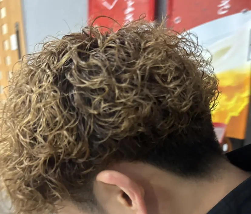 藤井 奏汰の掲載