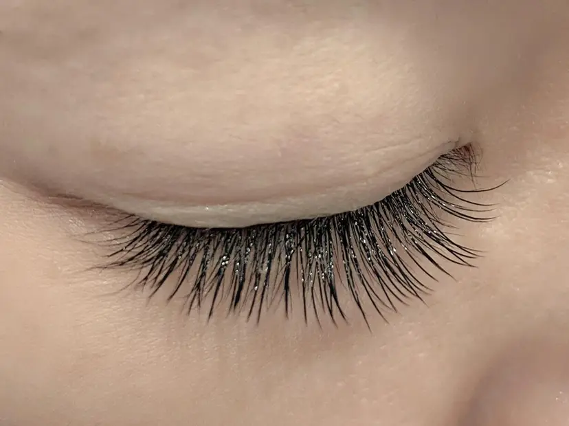 傳井 小夏の掲載