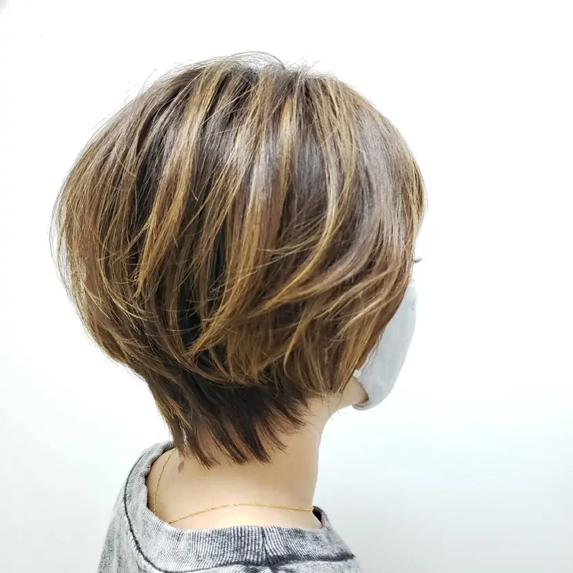 kato takashiの掲載