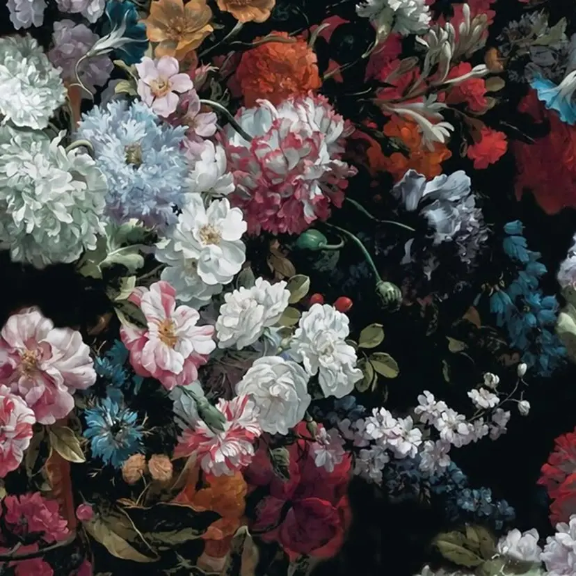 iso chihiroの掲載