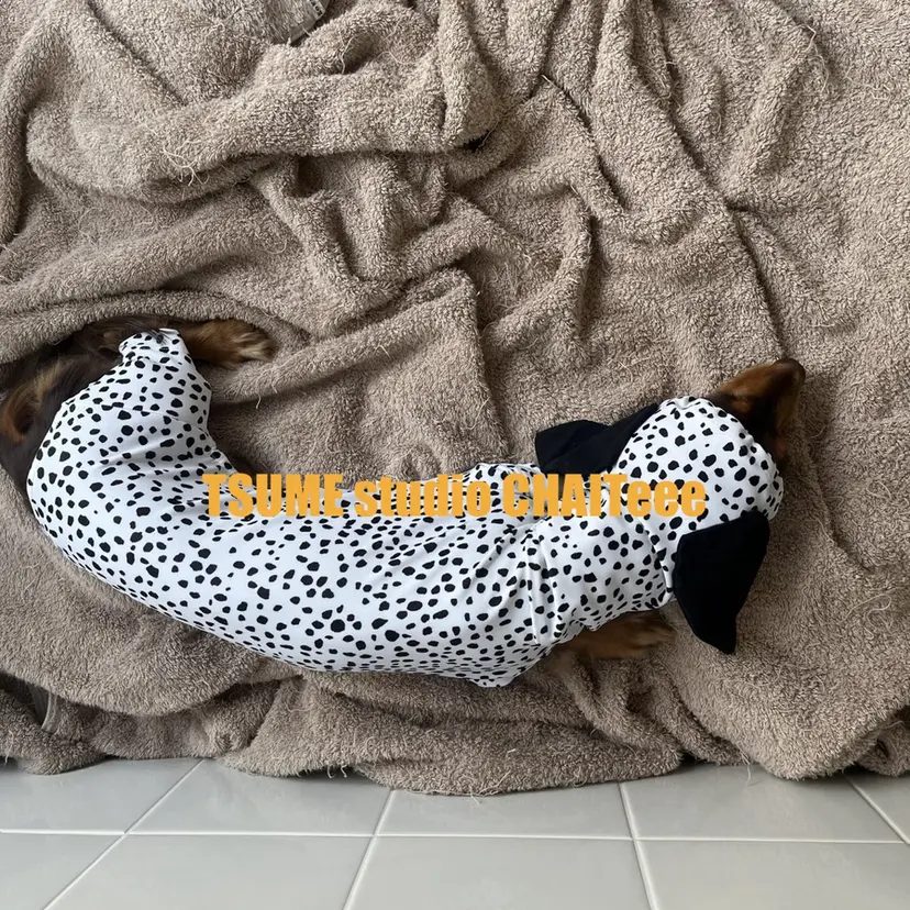 寺内 圭子の掲載