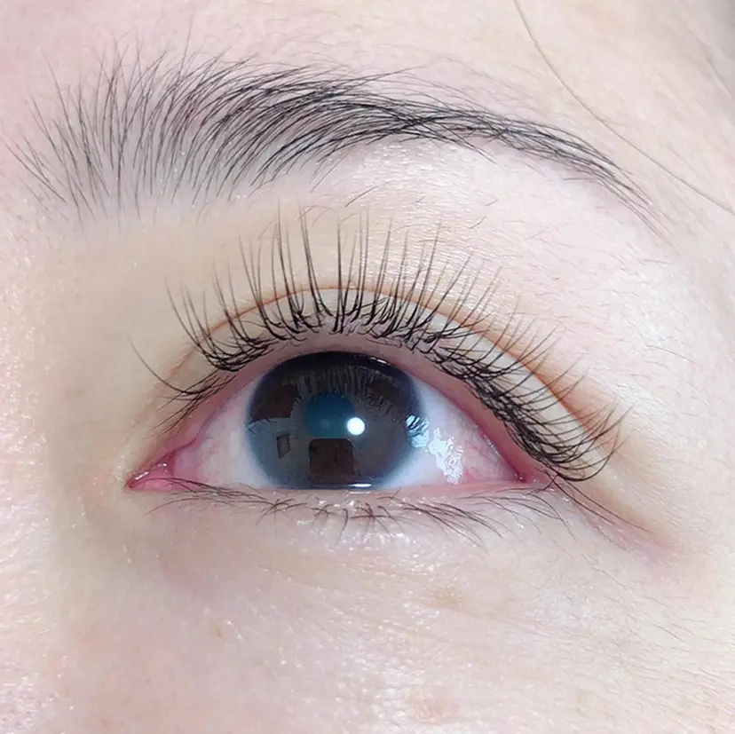 鈴木 恭子の掲載