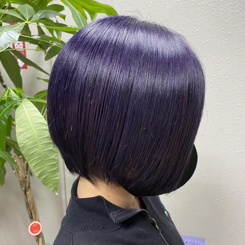 ルーキス やまざきの掲載