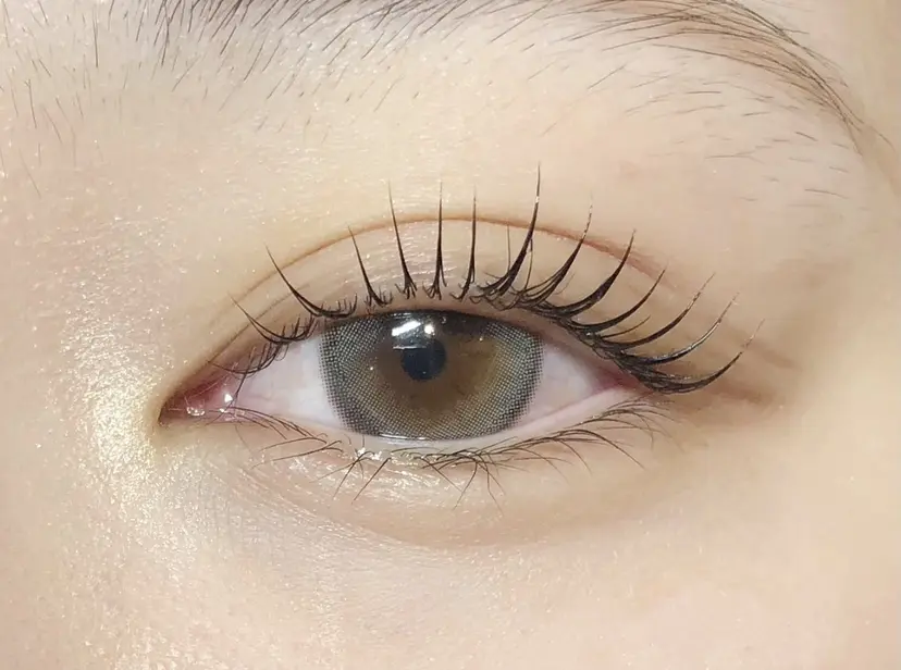 oikawa senaの掲載