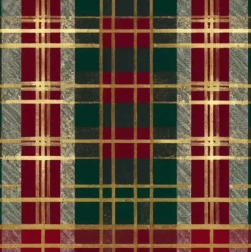 古賀 星羅の掲載